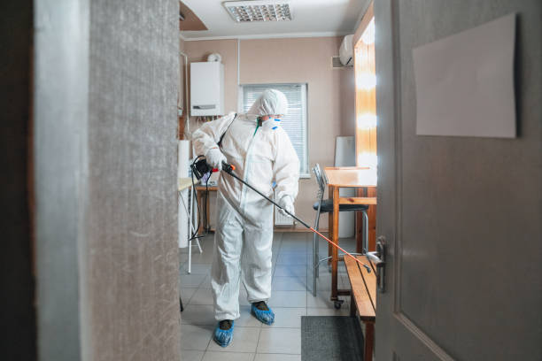 Best Residential Mold Inspection & Testing  in Elsmere, DE