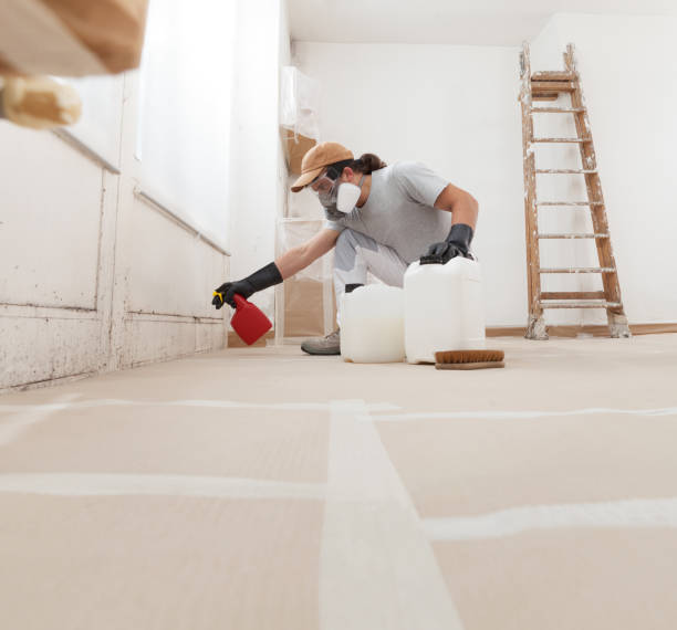 Elsmere, DE Mold Inspection, Removal & Remediation Company